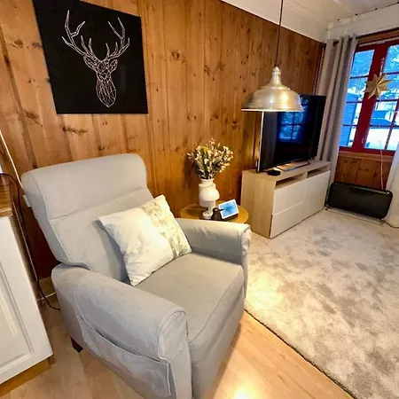 Feriehus Flott I Rett Ved Alpinbakken Vrådal